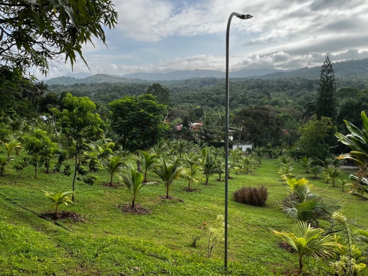 Finca en venta en Villa Altagracia, San Cristóbal – foto 1