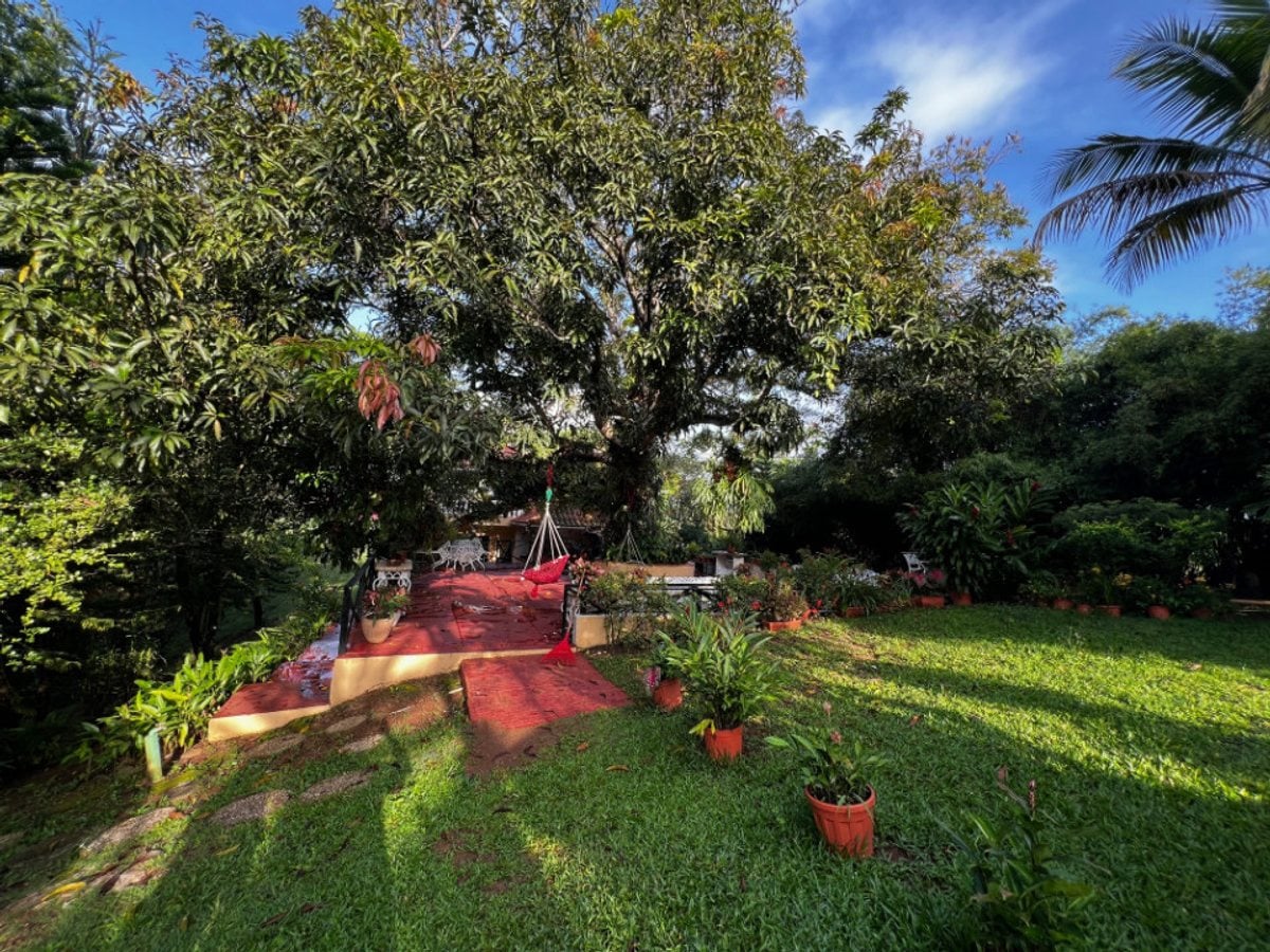 Finca en venta en Villa Altagracia, San Cristóbal – foto 2