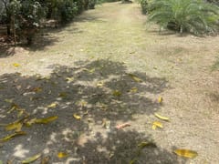 Villa en venta en San Cristóbal – foto 3