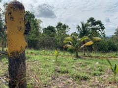 Terreno en venta en Arroyo Indio, Pedro Brand – foto 1