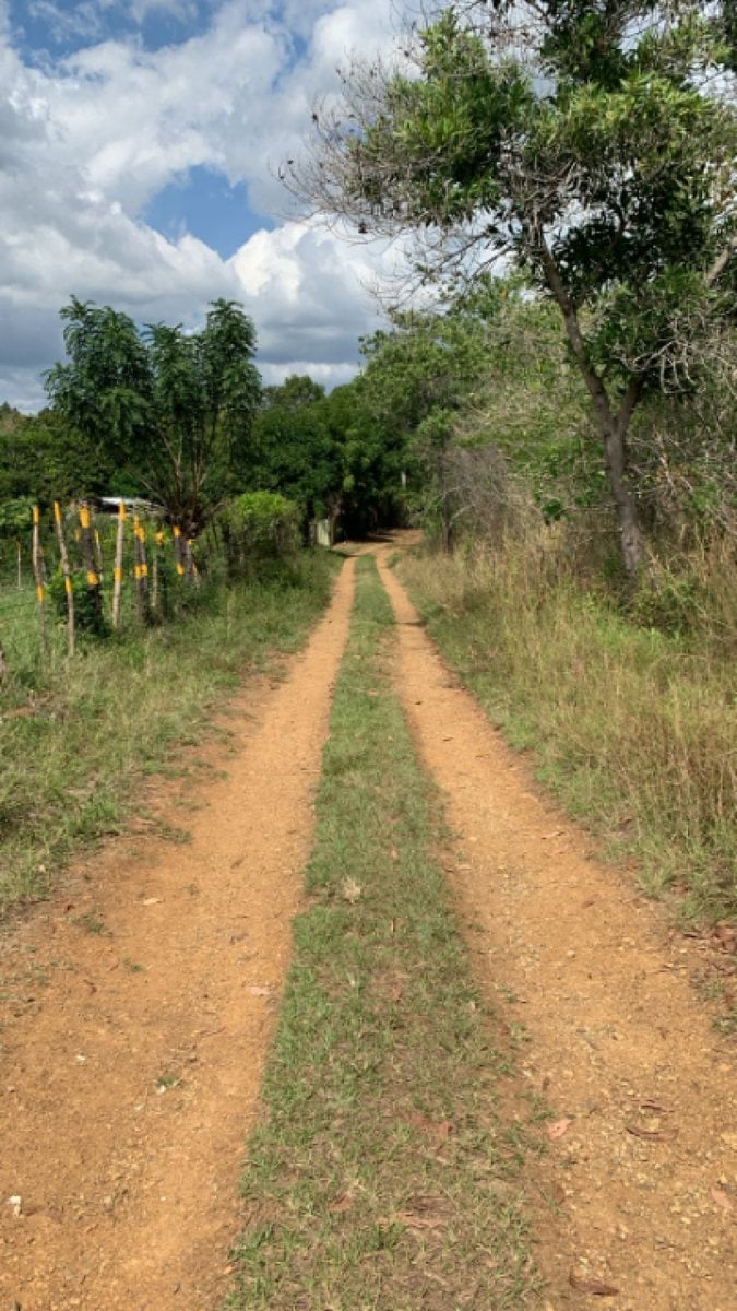 Terreno a pocos metros de la Av. Circunvalacion – foto 3