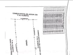 Terreno en venta en Arroyo Indio, Pedro Brand – foto 5