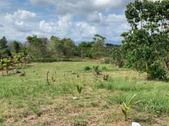 Terreno en venta en Arroyo Indio, Pedro Brand – foto 4