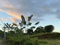 Terreno en venta en Río San Juan, 1,117 m² – foto 4