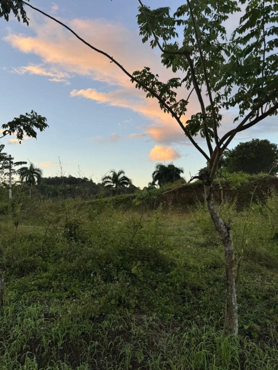 Terreno en venta en Río San Juan, 1,117 m² – foto 1