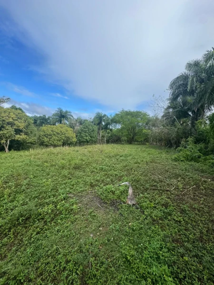 Solar en venta en Villa Mella – foto 5