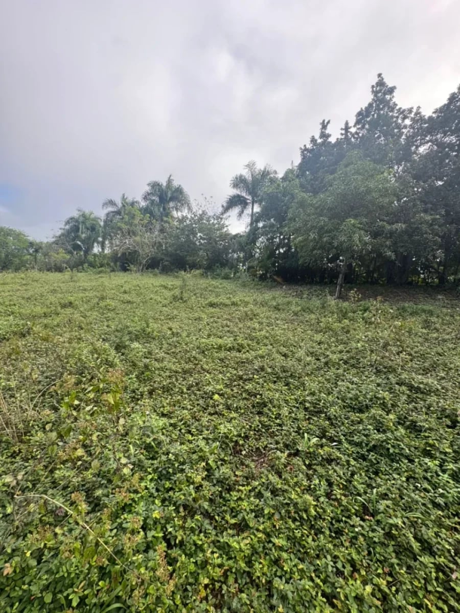 Solar en venta en Villa Mella – foto 1
