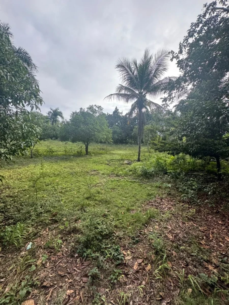 Solar en venta en Villa Mella – foto 2