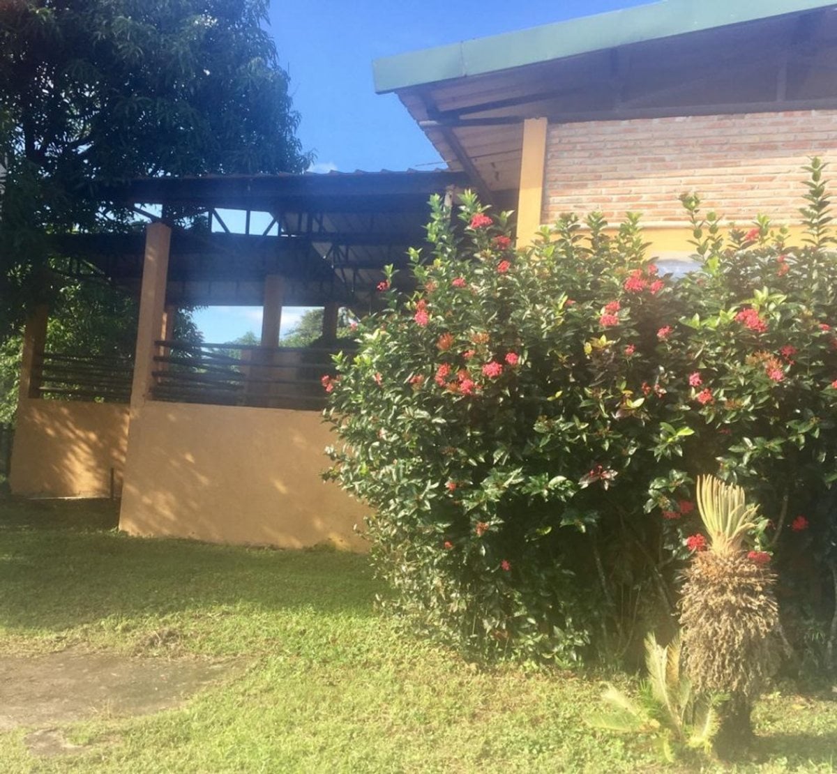 Finca limitada por rio para crianza de caballos – foto 5