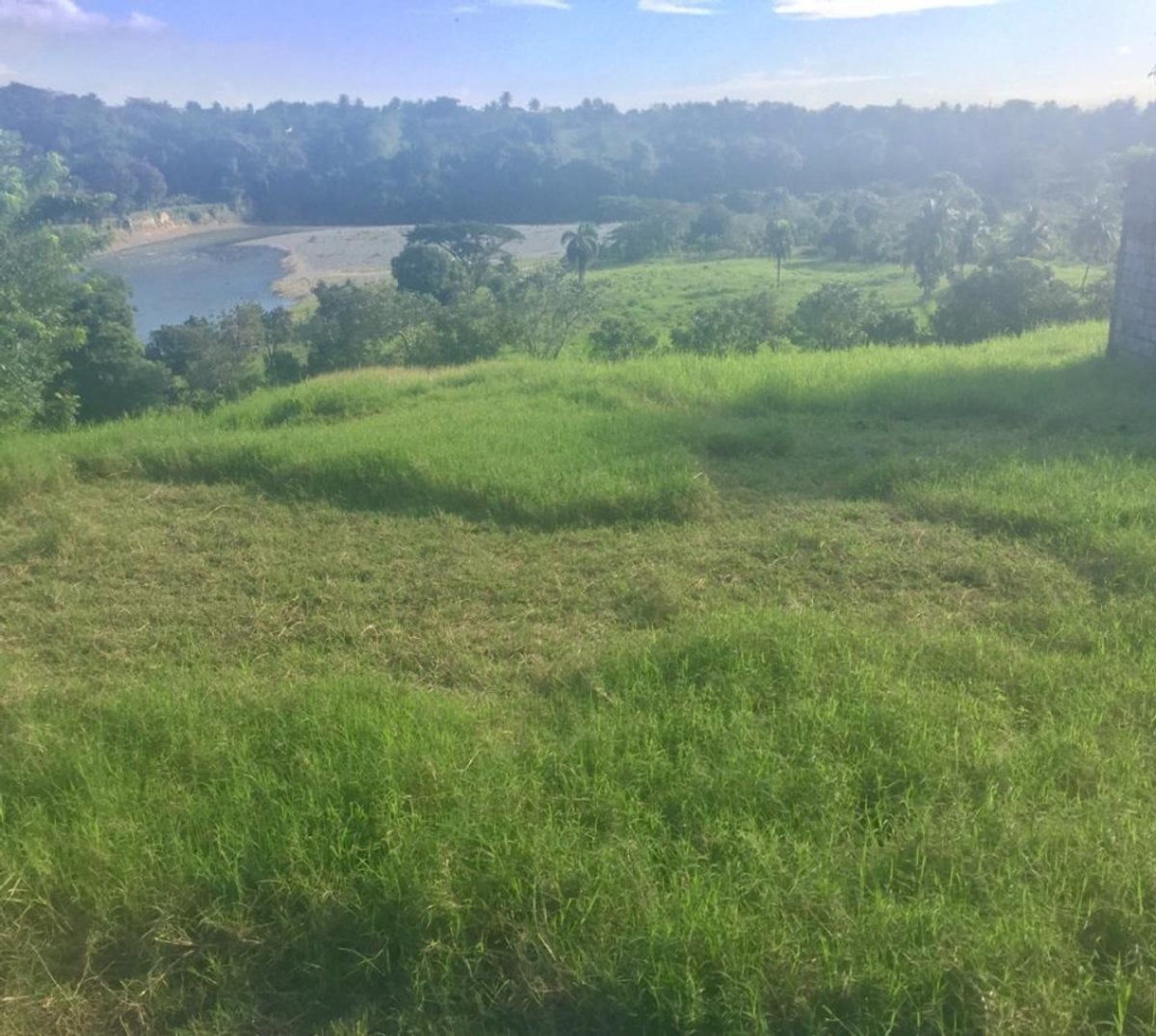 Finca limitada por rio para crianza de caballos – foto 9