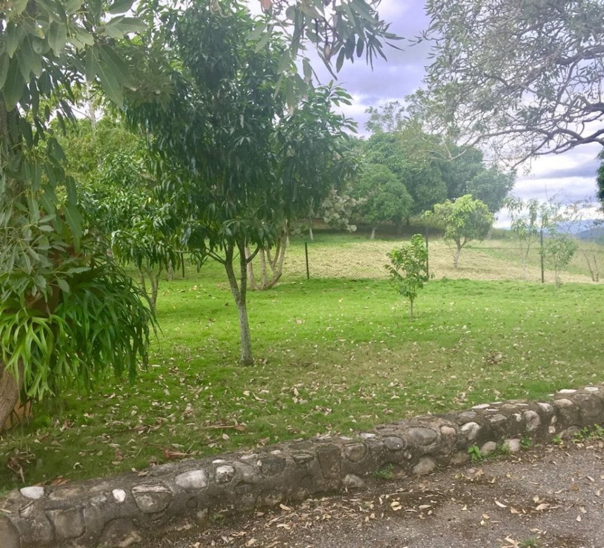 Finca limitada por rio para crianza de caballos – foto 2