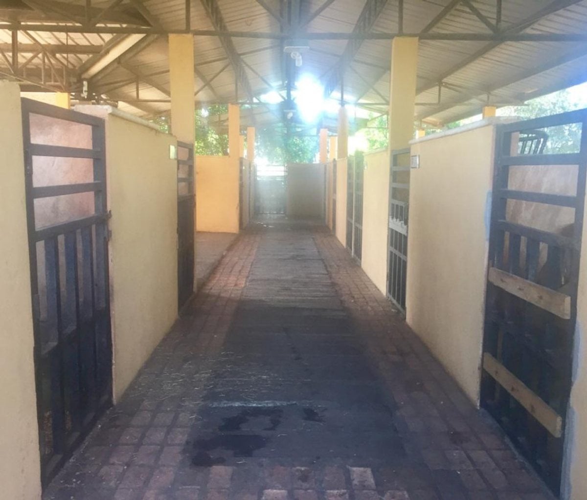 Finca limitada por rio para crianza de caballos – foto 8