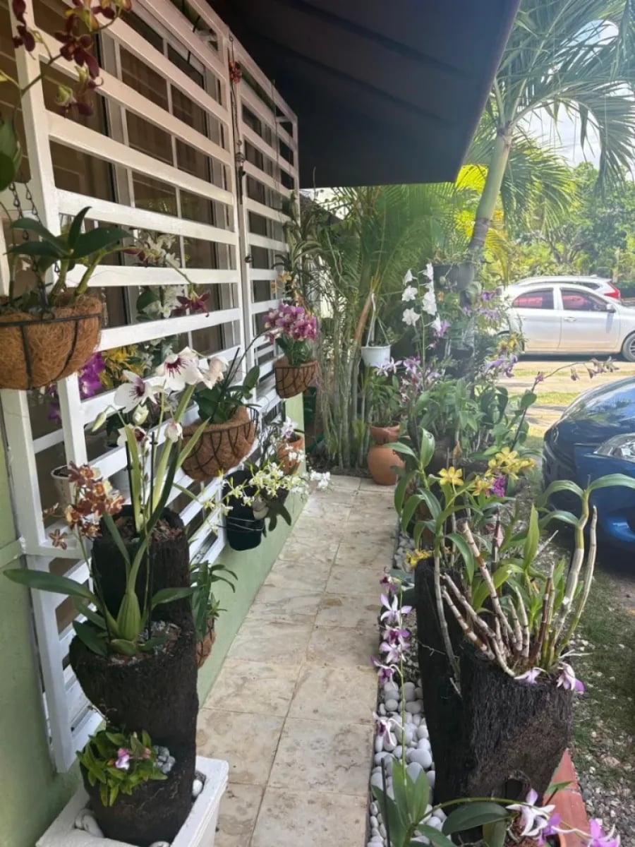 Apartamento en San Isidro Primer Nivel – foto 4