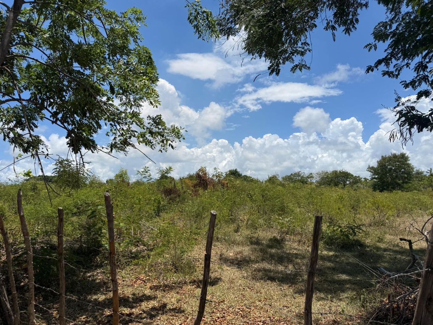 TERRENO EN VENTA LOS YAGRUMOS, SAN CRISTÓBAL – foto 3