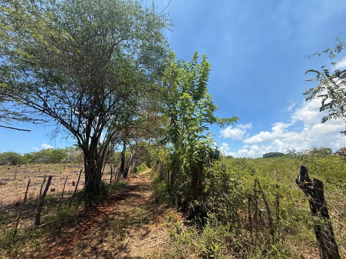 TERRENO EN VENTA LOS YAGRUMOS, SAN CRISTÓBAL – foto 1