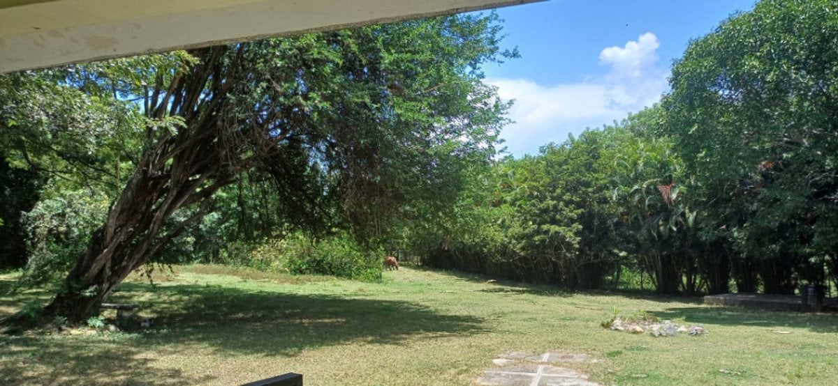 Terreno En Hatillo, San Cristóbal – foto 2
