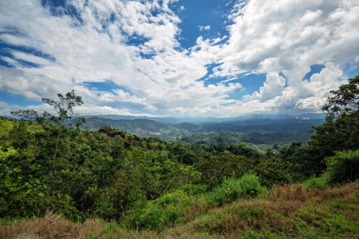 Finca en Venta en Constanza – foto 2