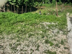 Solar en venta en el sector Arroyos de Alameda – foto 7