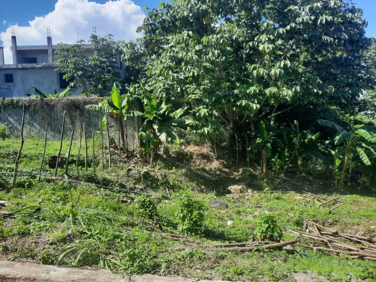 Solar en venta en el sector Arroyos de Alameda – foto 1