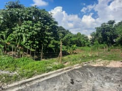 Solar en venta en el sector Arroyos de Alameda – foto 3