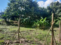 Solar en venta en el sector Arroyos de Alameda – foto 5