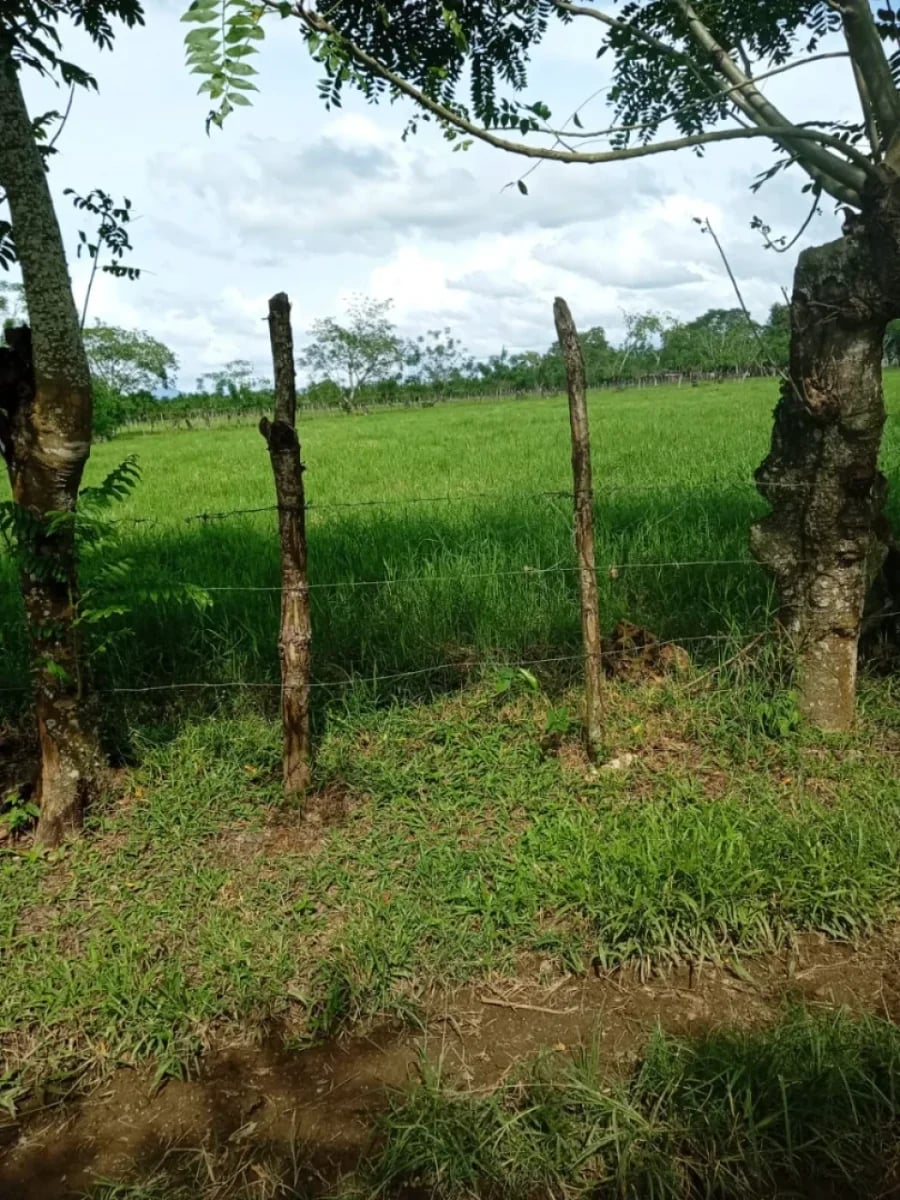 Terreno estratégico en zona de alto crecimiento industrial – foto 2