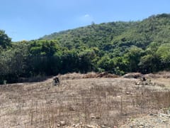 Terreno en venta en Bayacanes, La Vega – foto 10