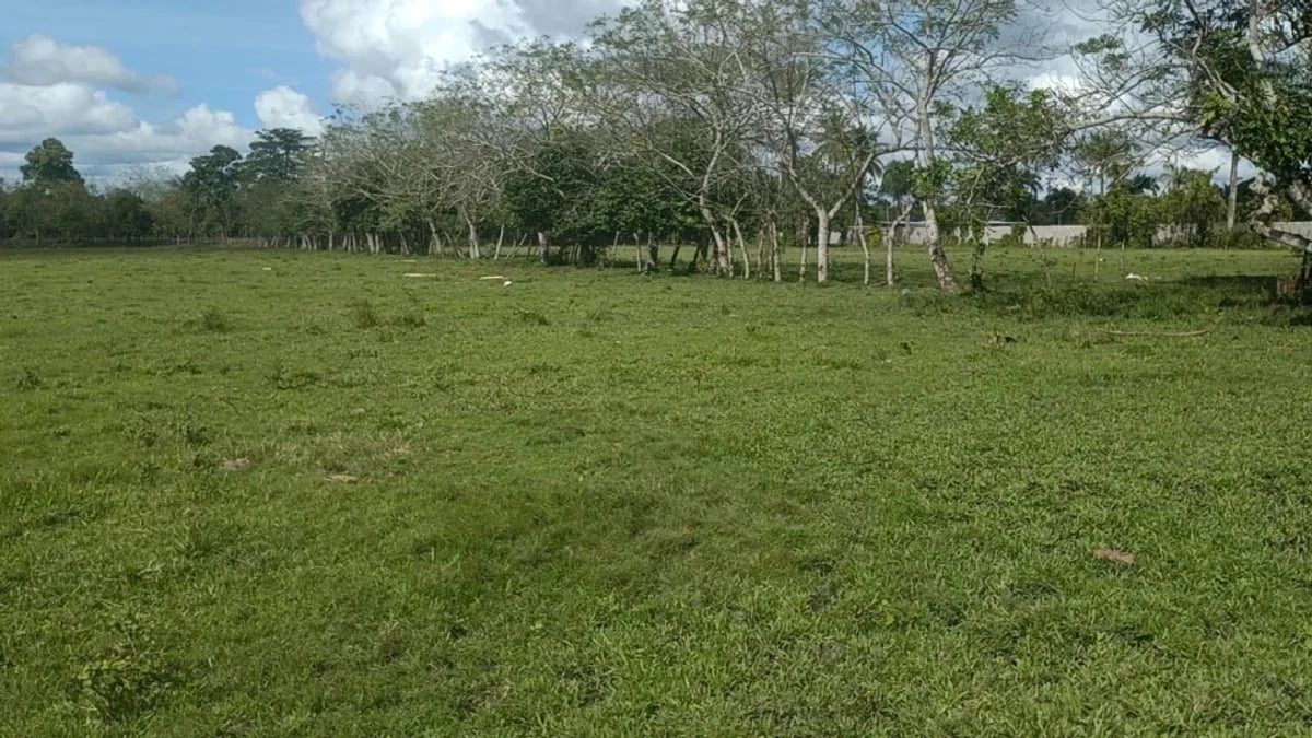 Terreno a Minutos de la Circunvalación – foto 3