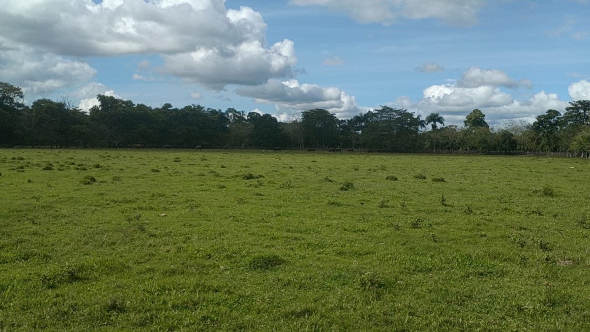 Terreno a Minutos de la Circunvalación – foto 2