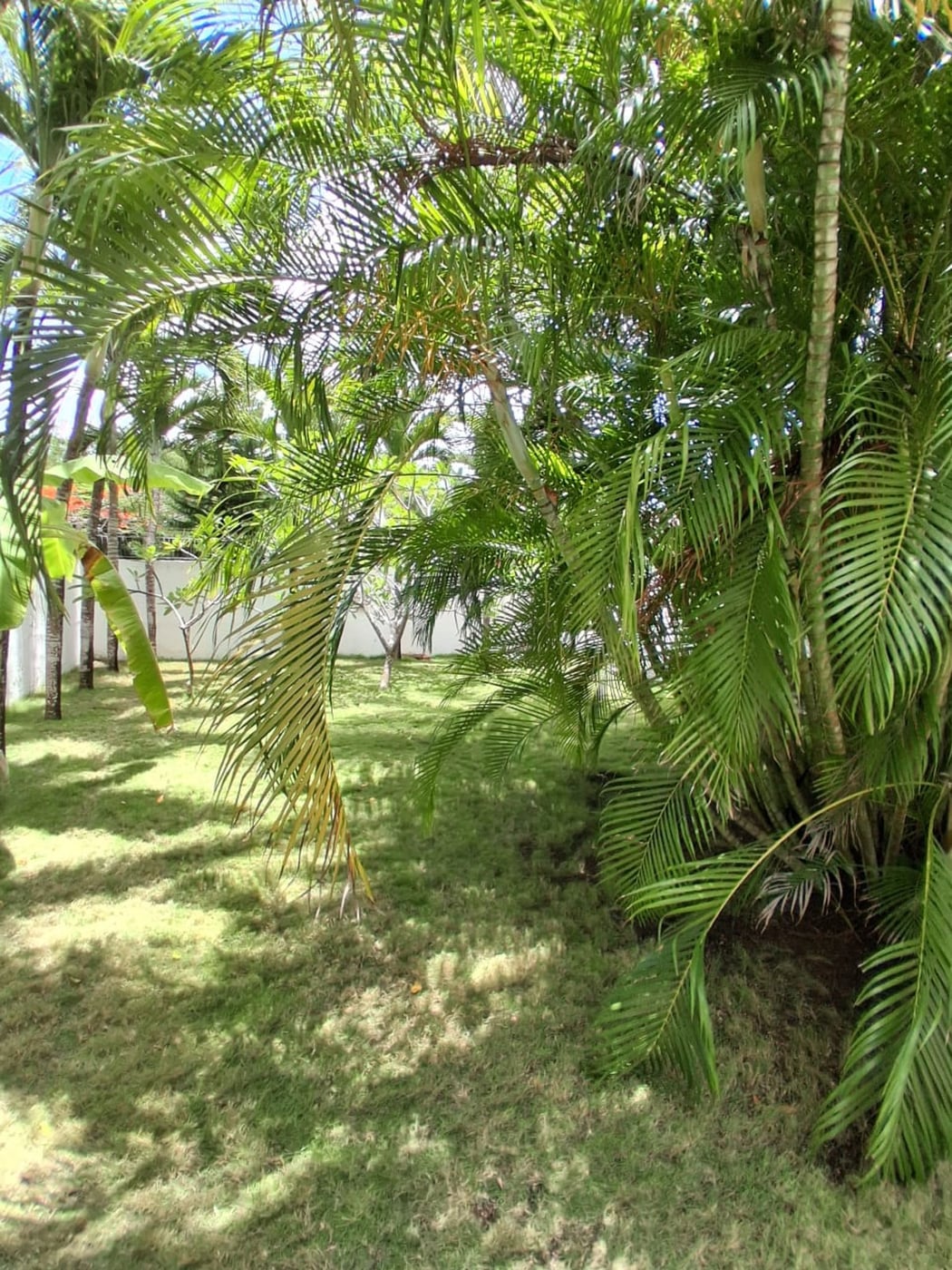 Tu oasis privado con piscina, Juan dolio guayacane – foto 12