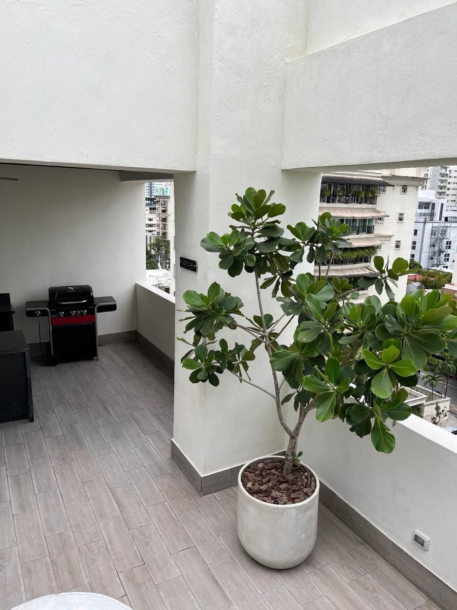 Apartamento en alquiler en Ensanche Serrallés, Sto. Dgo. – foto 12