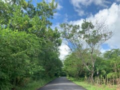 Terreno en venta en El Pedregal, Pedro Brand – foto 1