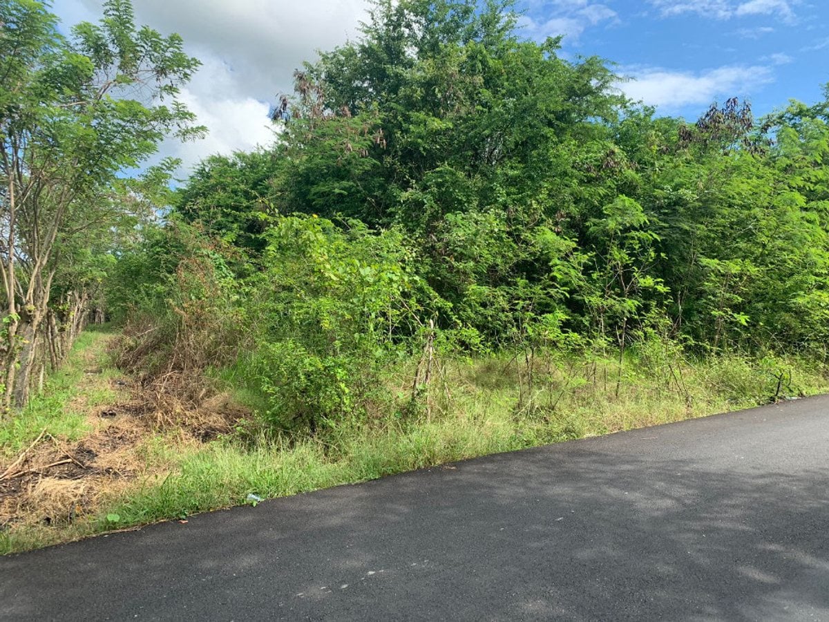 Terreno en el Pedregal, Pedro Brand – foto 2