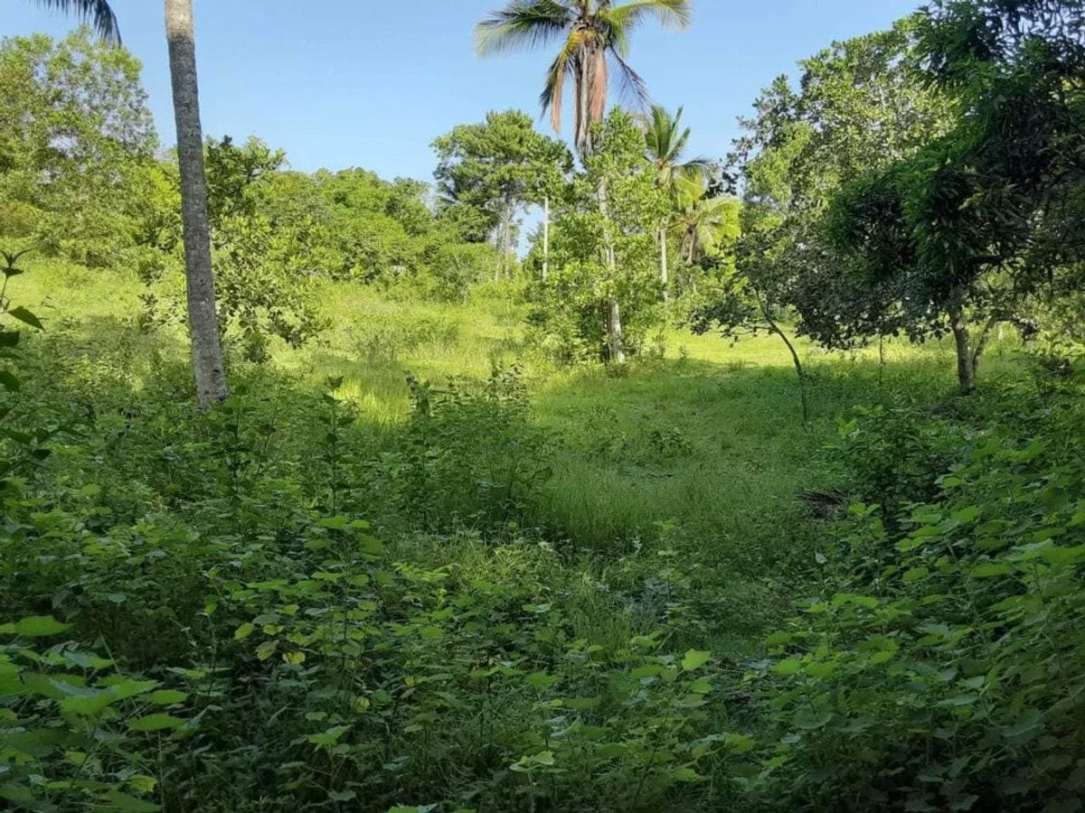 Terreno En Sierra Prieta, Santo Domingo Norte – foto 1