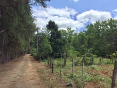 Terreno en venta La Cumbre, Entre Pinares – foto 5