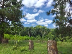Terreno en venta La Cumbre, Entre Pinares – foto 7