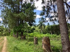 Terreno en venta La Cumbre, Entre Pinares – foto 2
