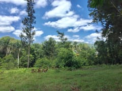Terreno en venta La Cumbre, Entre Pinares – foto 4