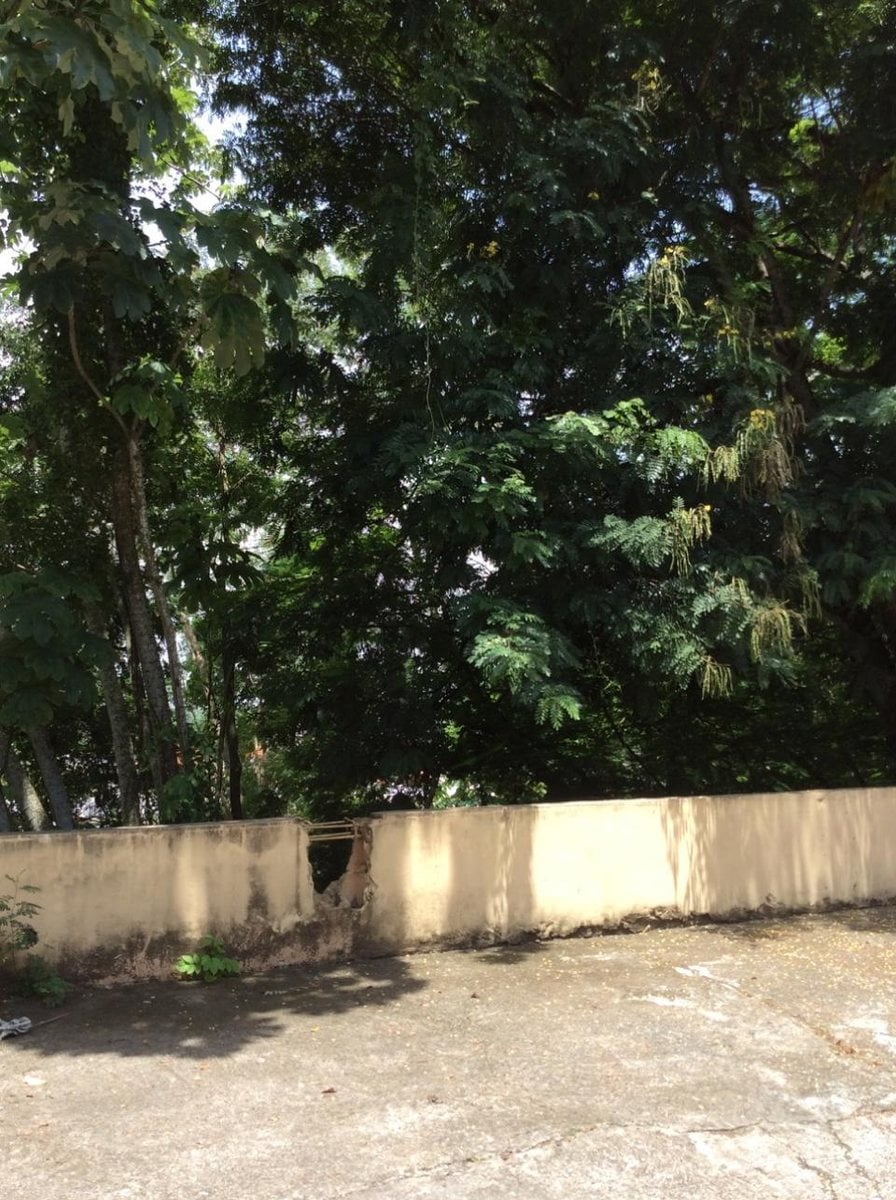 Terreno En Isabel Villas, Santo Domingo De Guzmán – foto 2