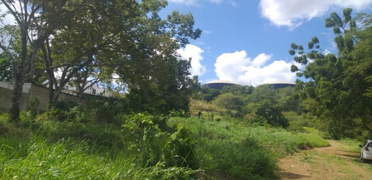 TERRENO EN VENTA 405 M² HIGÜEY LA ALTAGRACIA – foto 3