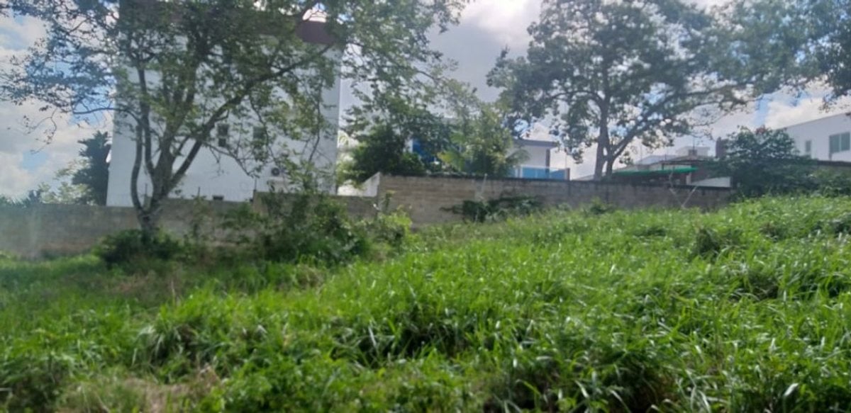 TERRENO EN VENTA 405 M² HIGÜEY LA ALTAGRACIA – foto 2