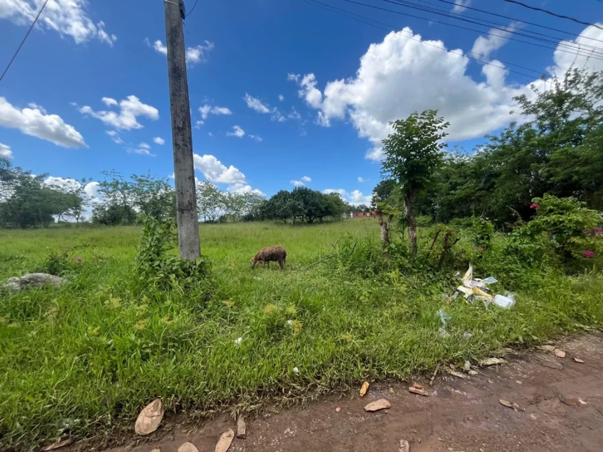 Terreno en Venta en Villa Mella, Santo Domingo – foto 8