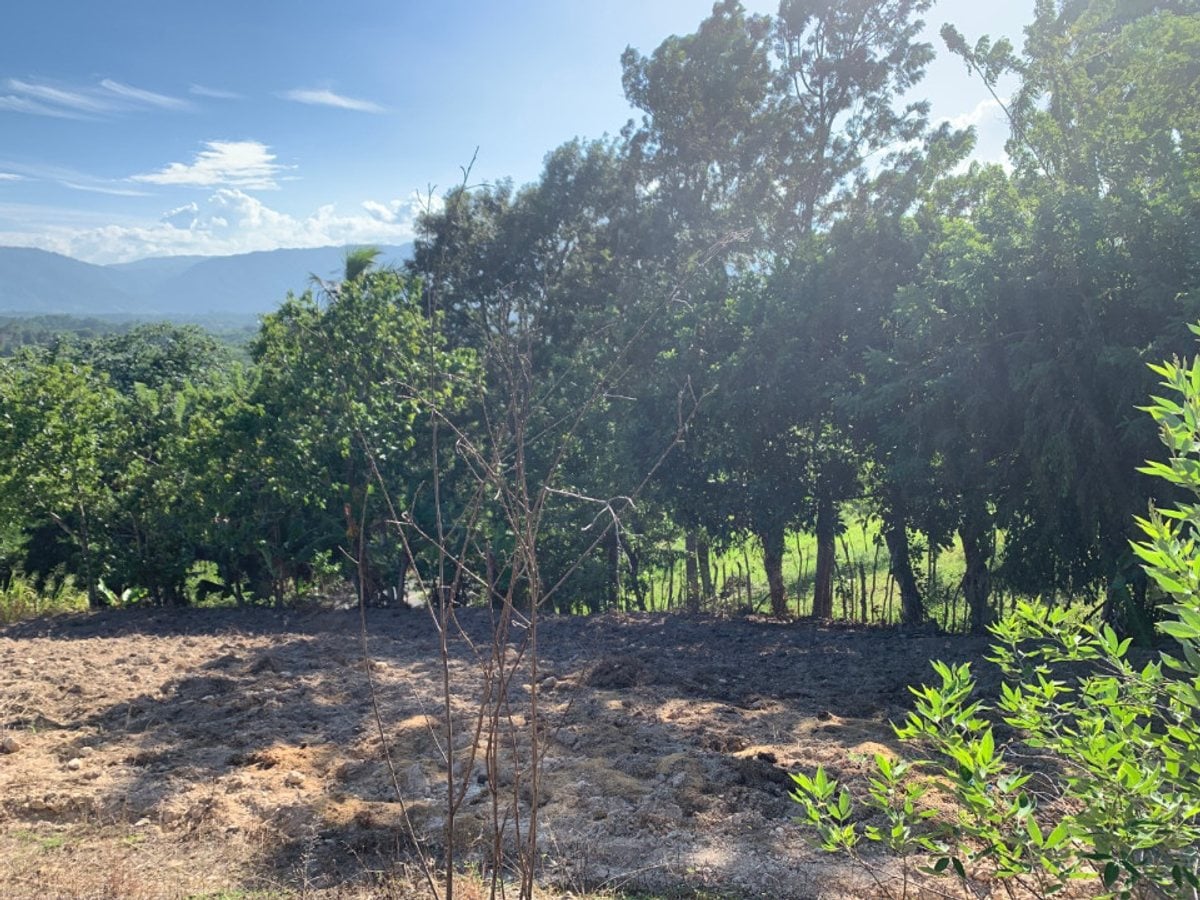 Terreno en Venta en Buena Vista, – foto 7
