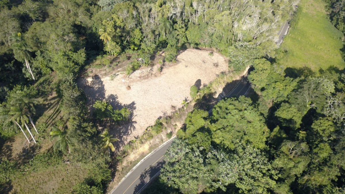 Terreno en Venta en Buena Vista, – foto 2