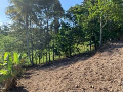Terreno en venta en Buena Vista – foto 4