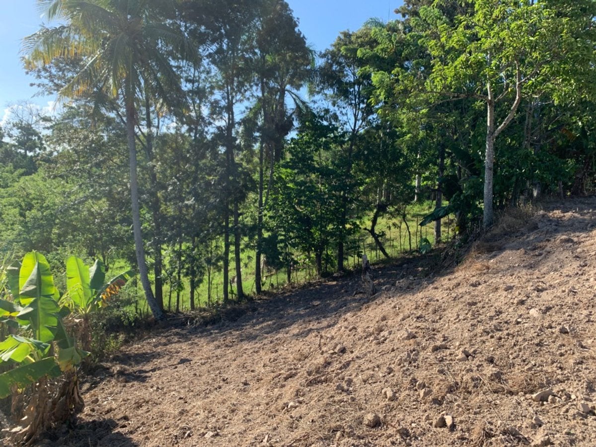 Terreno en Venta en Buena Vista, – foto 4