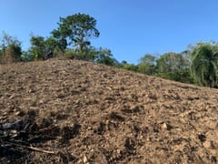 Terreno en venta en Buena Vista – foto 8