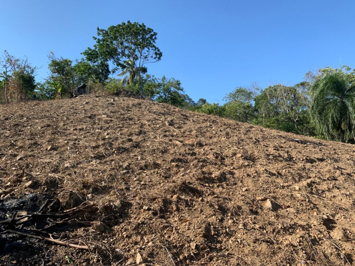 Terreno en Venta en Buena Vista, – foto 8