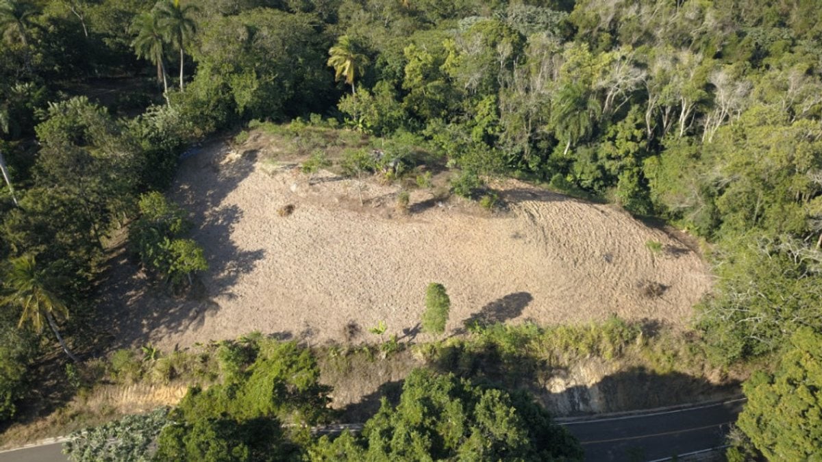 Terreno en Venta en Buena Vista, – foto 1