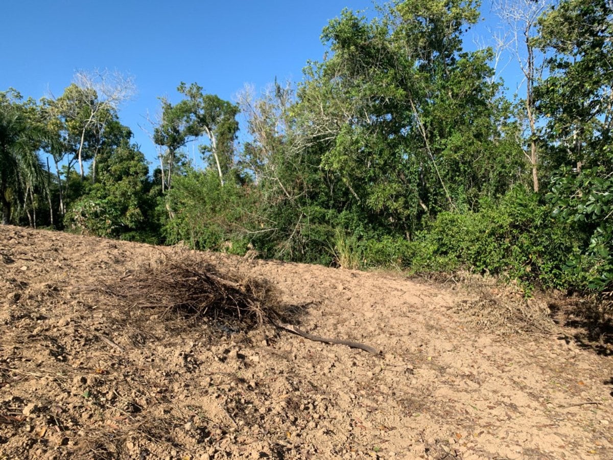 Terreno en Venta en Buena Vista, – foto 9